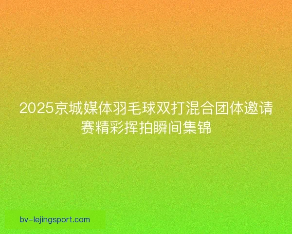 2025京城媒体羽毛球双打混合团体邀请赛精彩挥拍瞬间集锦